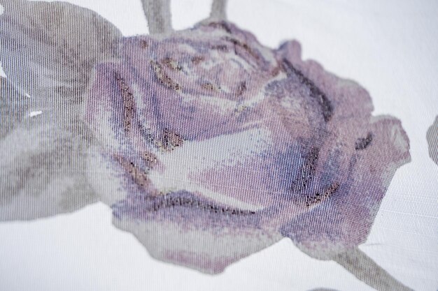 Bellissime rose astratte su sfondo colorato ad acquerello con confine a disegno floreale