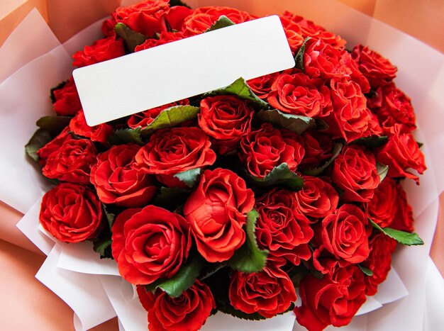 Bellissime rose rosse