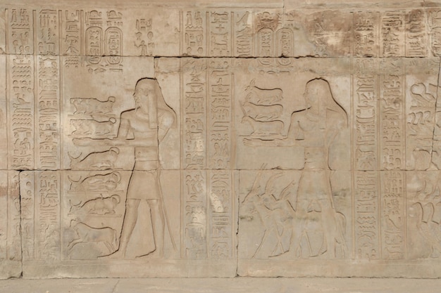 bellissime sculture nell'antico tempio egizio di Kom Ombo ad Assuan