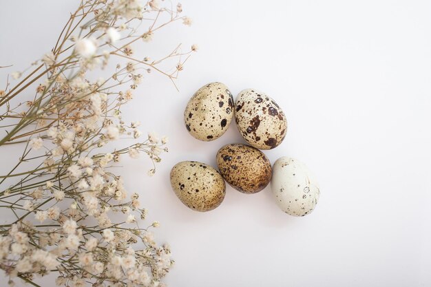 Bellissime uova di quaglia decorate con fiori e paillettes glitterate