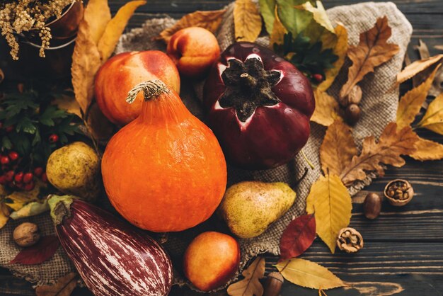 Bellissime verdure di zucca su foglie autunnali luminose ghiande noci su tavolo rustico in legno Spazio per il testo Biglietto di auguri per la stagione autunnale Atmosferico piatto Lay Happy Thanksgiving concept