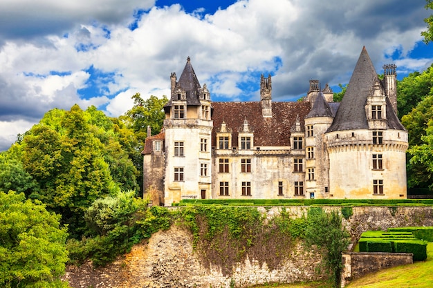 Bellissimi castelli della Francia