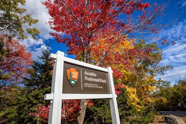 Bellissimi colori autunnali del Parco Nazionale di Acadia nel Maine