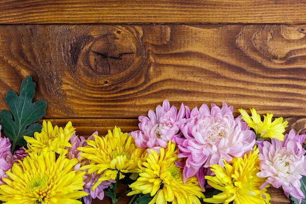 Bellissimi crisantemi su sfondo di legno Spazio di copia vista dall'alto