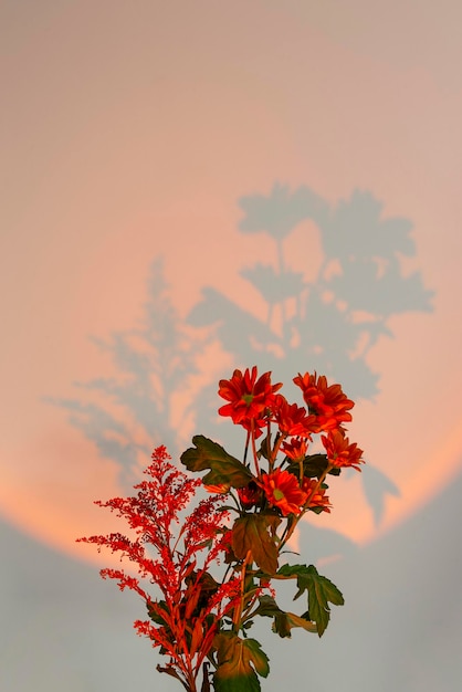 Bellissimi fiori autunnali alla luce arancione della lampada al tramonto in accoglienti colori autunnali interni domestici