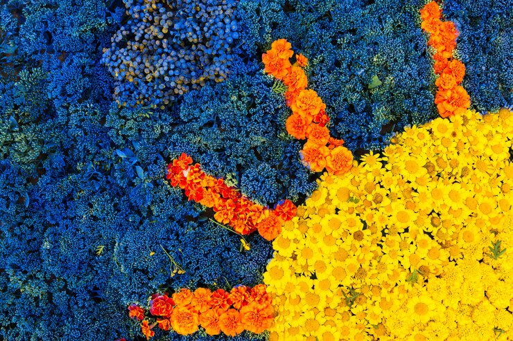 Bellissimi fiori blu e gialli