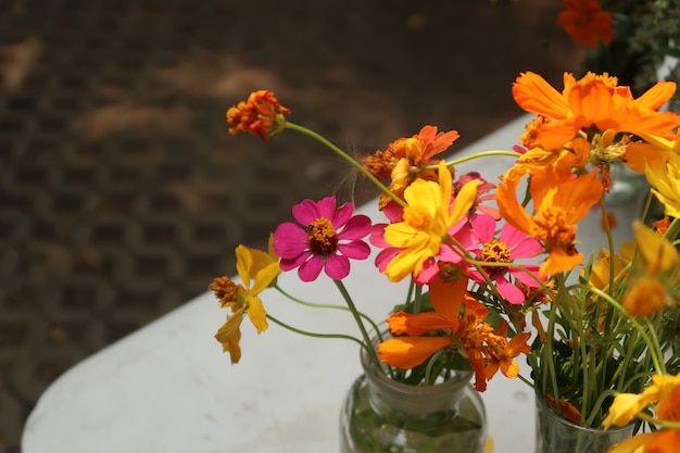 bellissimi fiori colorati in giardino all&#39;aperto vaso