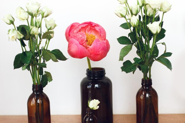 Bellissimi fiori di peonia e rose in disposizione di bottiglie di vetro su sfondo bianco