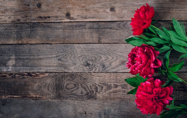 Bellissimi fiori di peonia marsala rossa rosa su tavola in legno rustico con spazio copia per la vista dall'alto del testo e stile piatto.