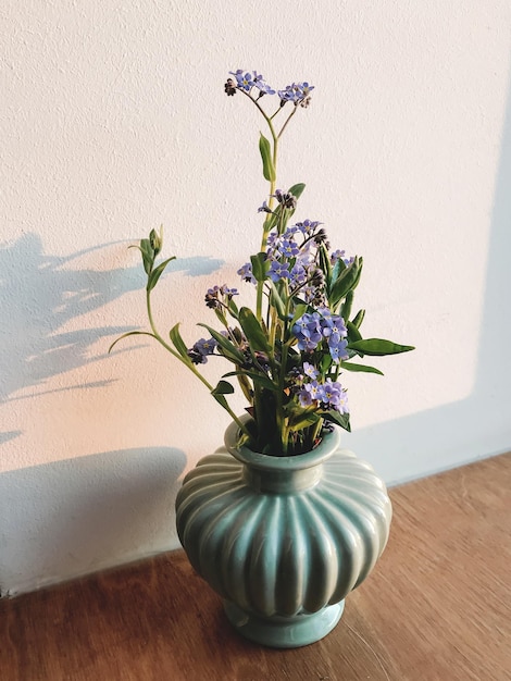 Bellissimi fiori di primavera blu in vaso sul davanzale alla luce del sole della sera Non ti scordar di me