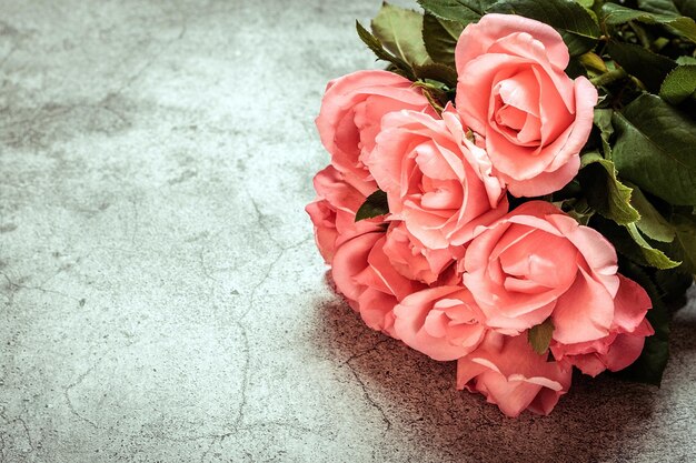 Bellissimi fiori di rose rosa su sfondo di cemento