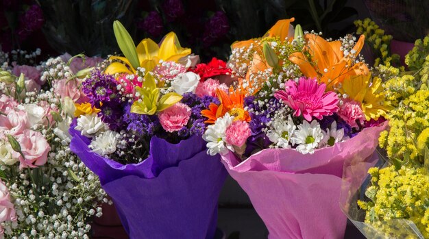 Bellissimi fiori di vario tipo