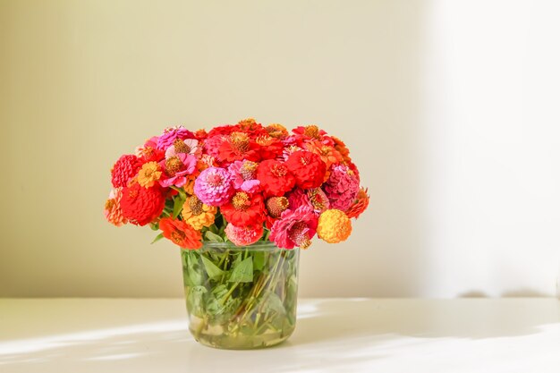 Bellissimi fiori di zinnia colorati luminosi in un bouquet. Piante ornamentali.