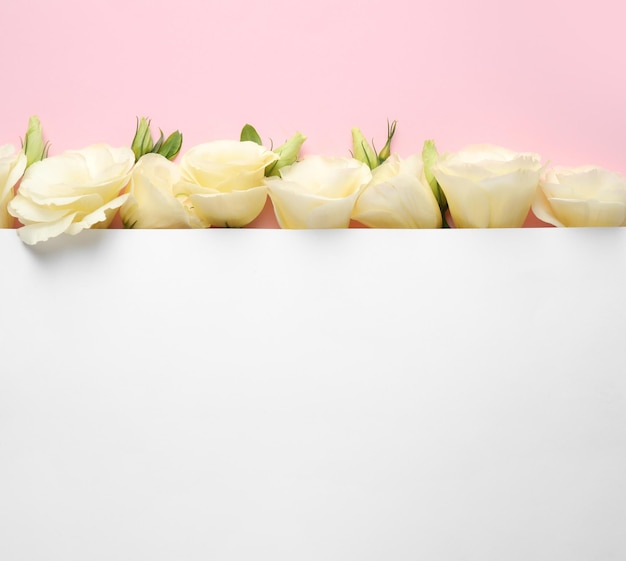 Bellissimi fiori Eustoma e carta bianca su sfondo rosa piatto Disposizione spazio per il testo