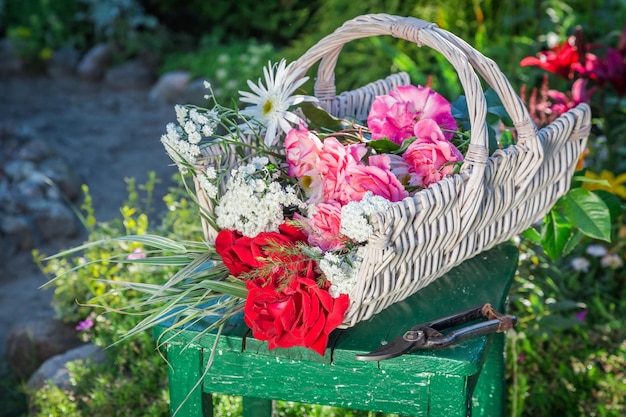 Bellissimi fiori in cestino nel giardino estivo