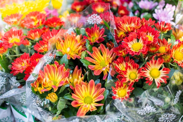 Bellissimi fiori in fiore in vendita al di fuori del negozio di fiori