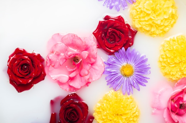 Bellissimi fiori in un bagno di latte. Concetto di trattamenti spa, relax, trattamenti spa, terapia