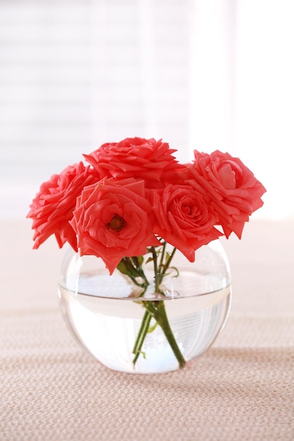 Bellissimi fiori in vaso con luce dalla finestra
