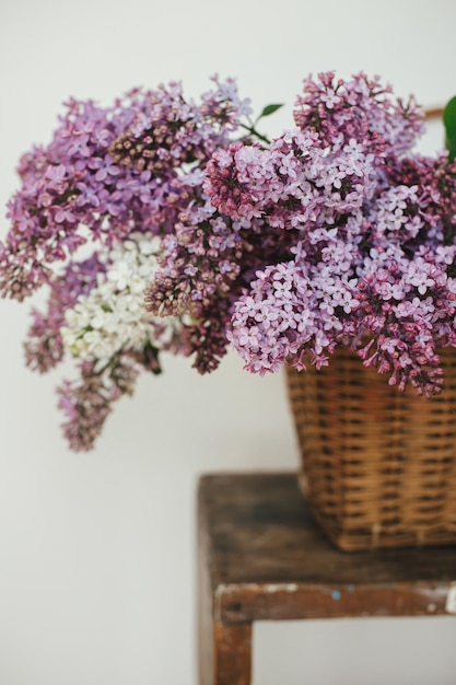 Bellissimi fiori lilla in cesto di vimini sulla sedia di legno Petali di lillà viola e bianco primo piano composizione floreale in casa Natura morta rustica primaverile su sfondo rurale Festa della mamma o matrimonio