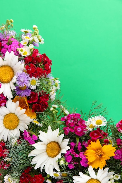 Bellissimi fiori luminosi su sfondo verde