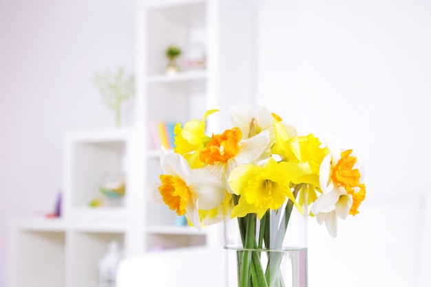 Bellissimi fiori primaverili in vaso su sfondo interno domestico