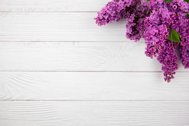 Bellissimi fiori primaverili lilla su fondo di legno bianco. San Valentino, donna, festa della mamma, Pasqua, compleanno, matrimonio o vacanza piatta. Vista dall'alto. Copia spazio.