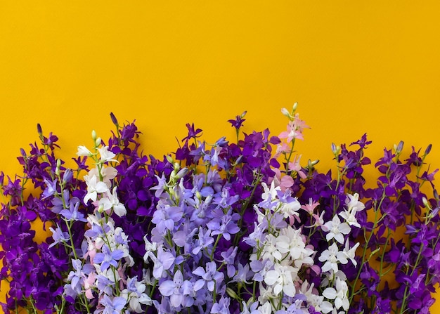 Bellissimi fiori rosa blu viola su sfondo giallo