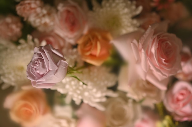 Bellissimi fiori rosa e bianchi in vetro nebbioso condensa sfocata Carta tessile carta da parati botanica floreale