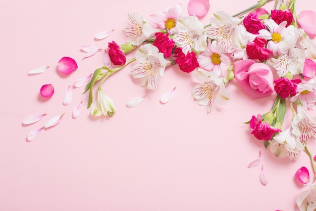 Bellissimi fiori rosa e bianchi su sfondo rosa