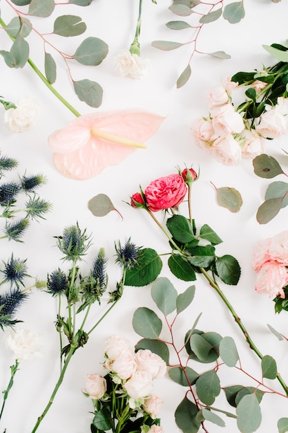 Bellissimi fiori: rose, eringium, fiore di anthurium, eucalipto su bianco.