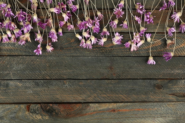 Bellissimi fiori selvatici su uno sfondo di legno