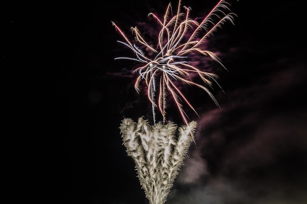 Bellissimi fuochi d'artificio di notte