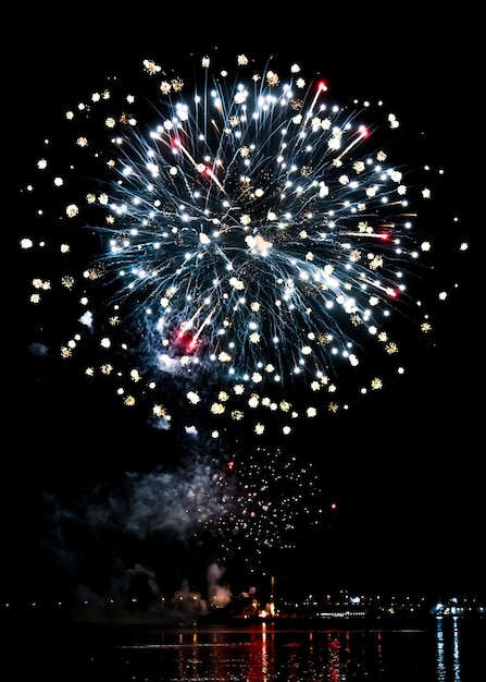 Bellissimi fuochi d'artificio festivi nel cielo notturno. Celebrazione.