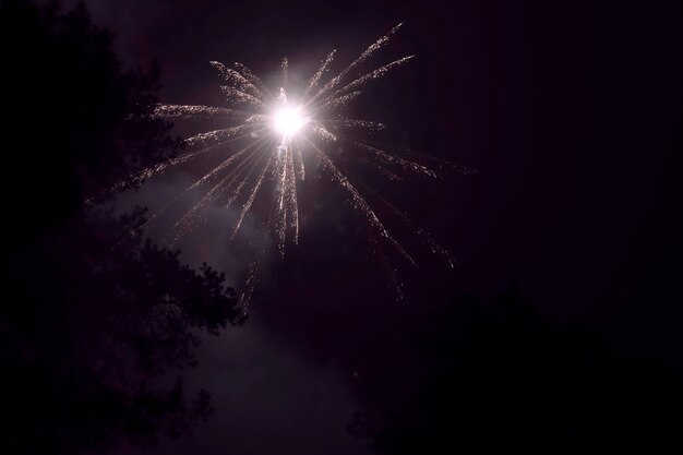 Bellissimi fuochi d'artificio luminosi su uno sfondo nero accanto agli alberi