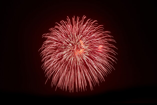 Bellissimi fuochi d'artificio sul cielo nero