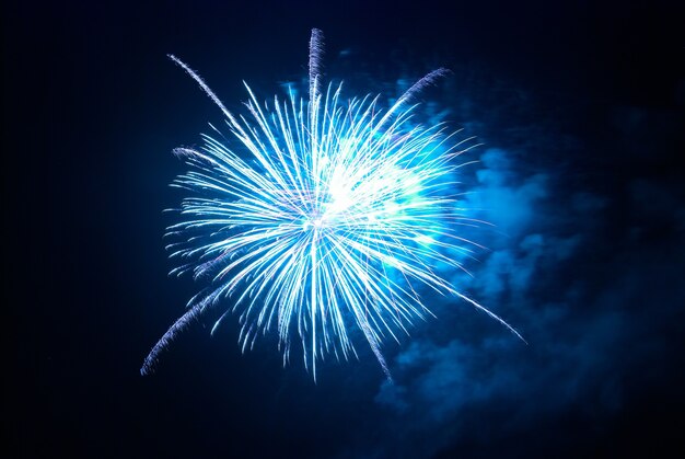 Bellissimi fuochi d'artificio sul cielo nero