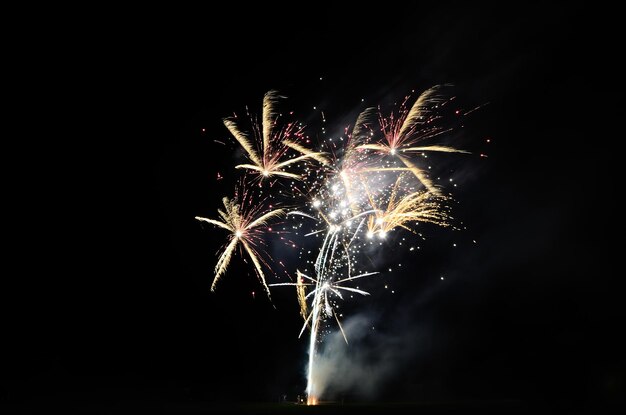 Bellissimi fuochi d'artificio