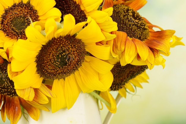 Bellissimi girasoli in brocca su sfondo luminoso