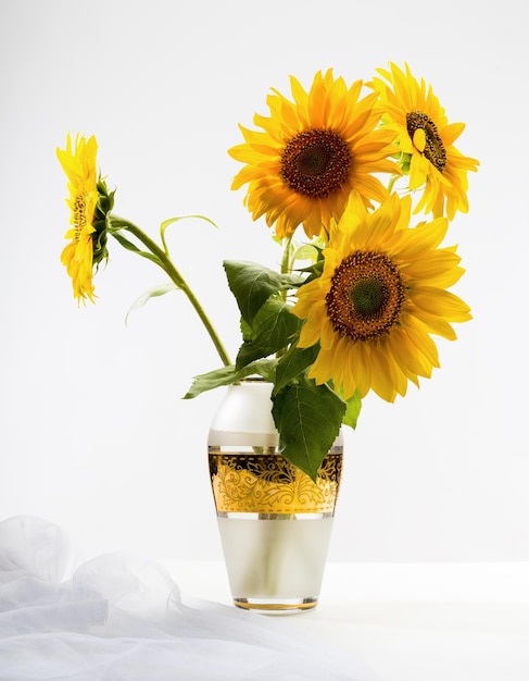 Bellissimi girasoli in un vaso su sfondo bianco