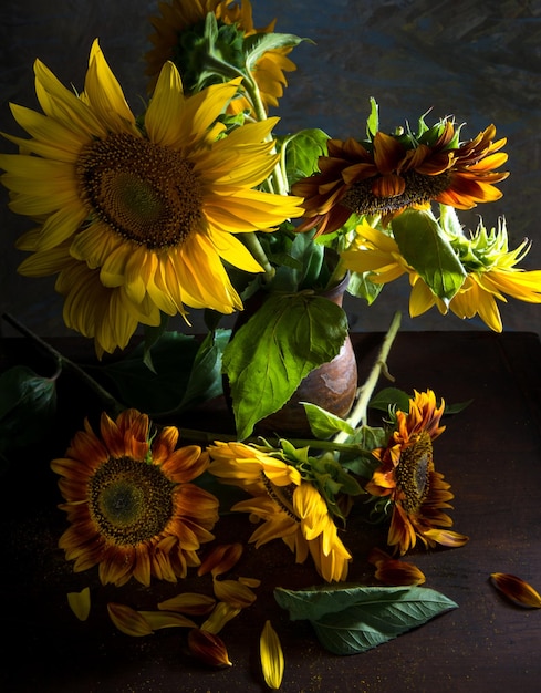 Bellissimi girasoli in un vaso