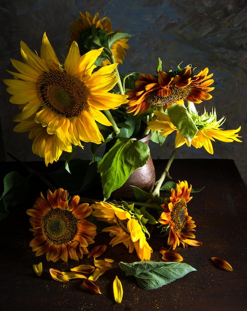 Bellissimi girasoli in un vaso