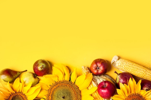 Bellissimi girasoli, pere e mais su sfondo giallo. Concetto di raccolto di vacanza.