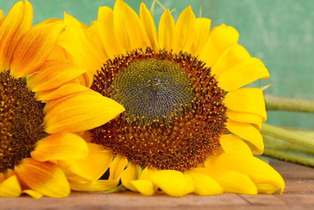 Bellissimi girasoli su fondo di legno