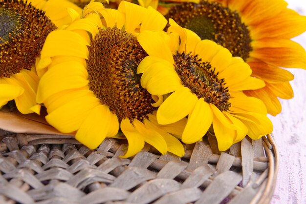 Bellissimi girasoli su stand di vimini da vicino