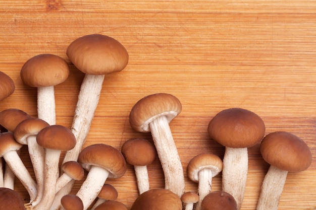 Bellissimi ingredienti freschi di funghi di miele per cucinare cibi deliziosi