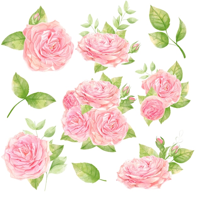 Bellissimi mazzi di rose ad acquerello Clipart matrimonio Set floreale