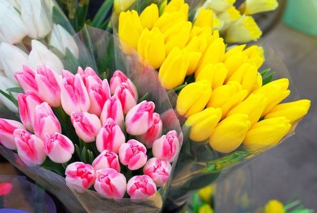 Bellissimi mazzi di tulipani. Fiori freschi di primavera