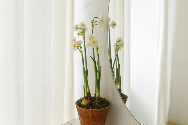 Bellissimi narcisi che crescono in vaso rustico sullo sfondo della moderna parete del bagno Elegante arredamento floreale per la casa bagno interior design Fiori primaverili in pentola di creta