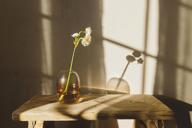 Bellissimi narcisi in vaso su panca in legno rustico sullo sfondo di una camera moderna alla luce del sole Elegante arredamento floreale per la casa casa colonica design della camera da letto Fiori primaverili