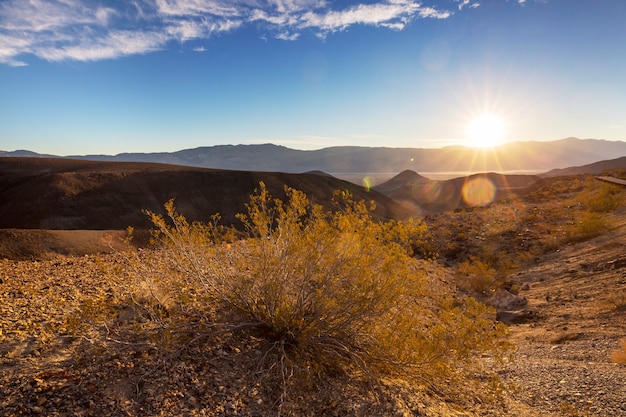 Bellissimi paesaggi del deserto americano